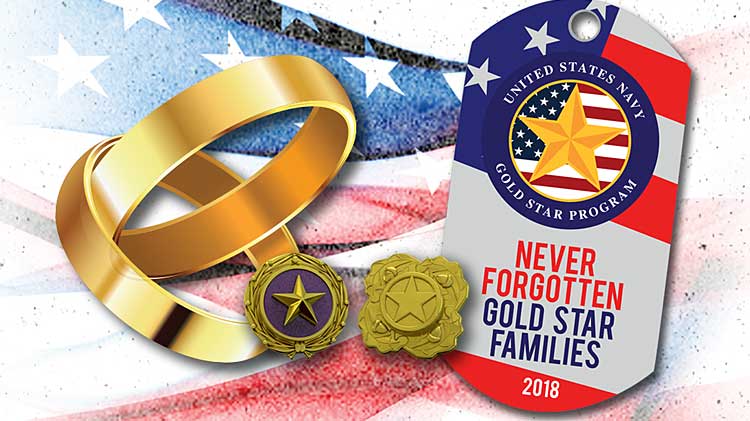 Navy Gold Star Program